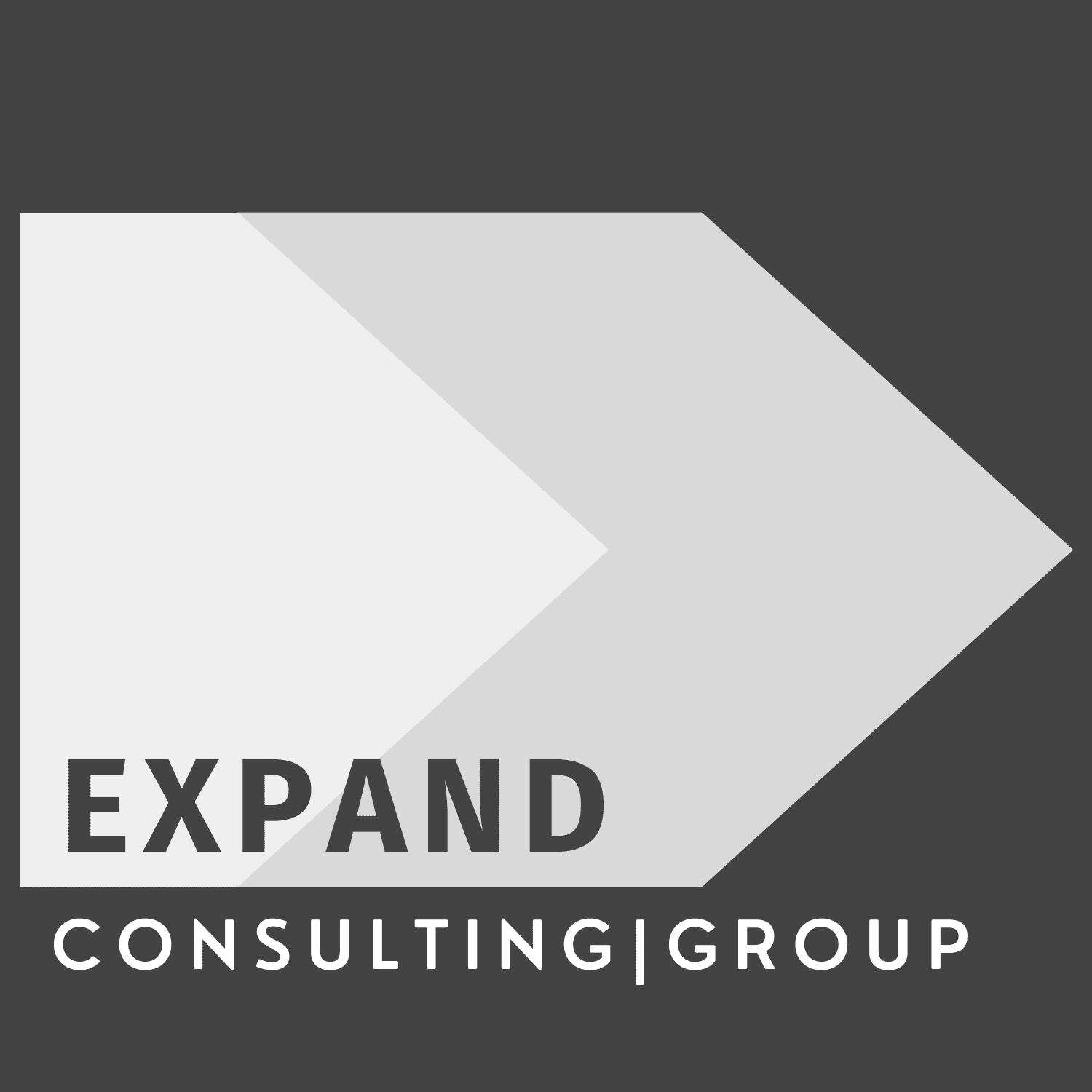 Expand Consulting Group